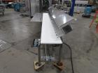 Cpi Ss Packoff Conveyor